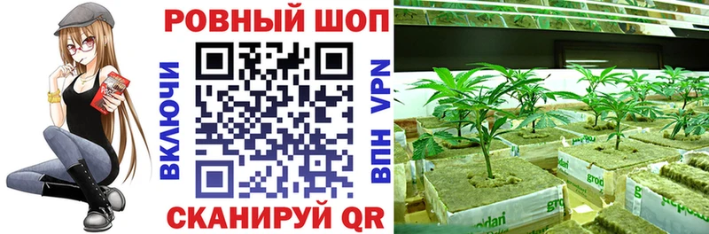 ГАШИШ Краснозаводск