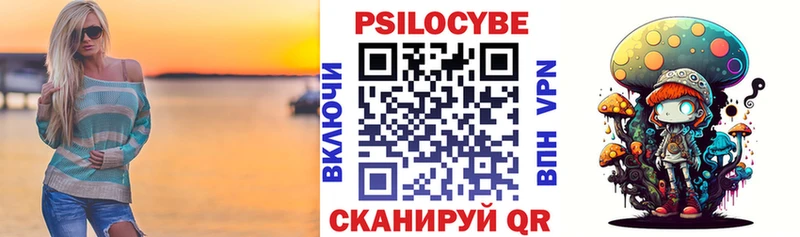 закладка  Краснозаводск  сайты даркнета телеграм  Псилоцибиновые грибы мицелий 